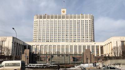 Здание правительства РФ избавят от ворон за 43 млн рублей