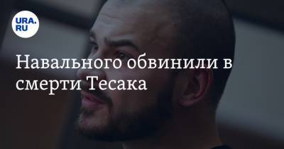 Навального обвинили в смерти Тесака