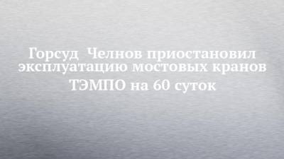 Горсуд Челнов приостановил эксплуатацию мостовых кранов ТЭМПО на 60 суток