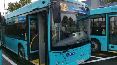 В Петербург прибыли 27 новых белорусских автобусов