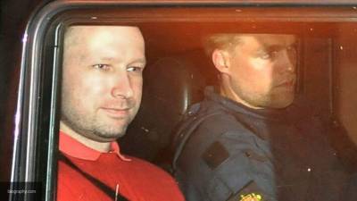 Норвежский террорист Андерс Брейвик просит освободить его досрочно