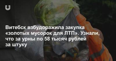 Витебск взбудоражила закупка «золотых мусорок для ЛТП». Узнали, что за урны по 58 тысяч рублей за штуку