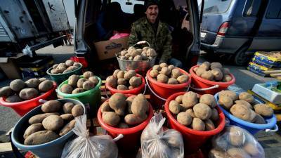 Украина намерена запретить импорт картошки из России
