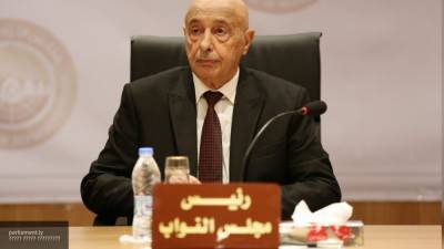 Агила Салех - Палата представителей поддержала ливийцев в борьбе с коррупцией - nation-news.ru - Ливия