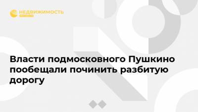 Власти подмосковного Пушкино пообещали починить разбитую дорогу