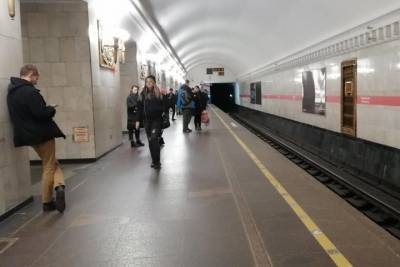 На станции «Владимирская» пассажирка выжила после падения на рельсы