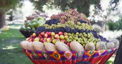Мука в обмен на фрукты: в Хатлоне обсудили таджикско-казахскую торговлю