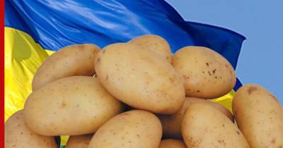 Украина захотела запретить импорт картофеля из России