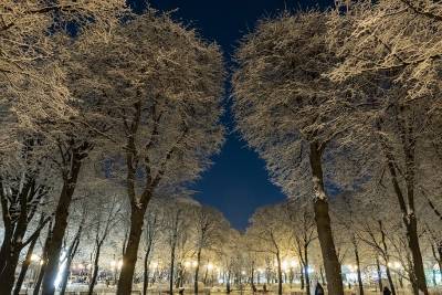 Прогноз погоды на зиму: синоптики озаботили россиян