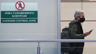 Границы не помеха: В России упростят правила въезда в страну