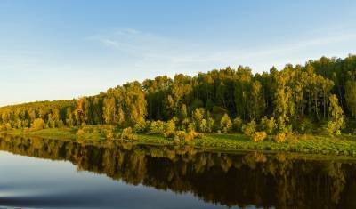 В Калужской области власти выступили против застройки исторических земель Тарусы
