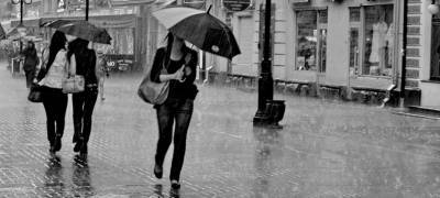 МЧС объявило штормовое предупреждение в Карелии из-за ливней и ветра