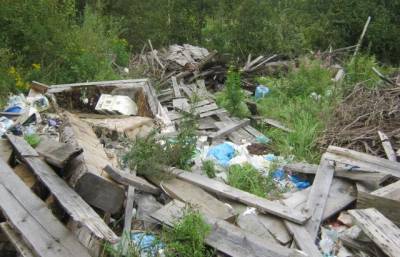 В Кувшиновском районе сельхозугодья продолжают зарастать деревьями и не устранены свалки отходов деревообработки