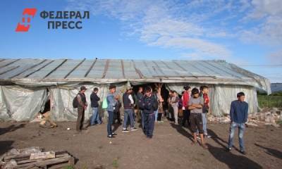 В Самарской области 4282 мигранта продолжают жить в палаточном лагере