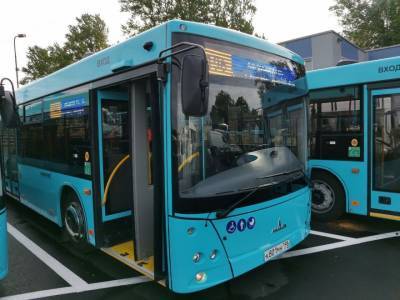 27 новых автобусов завезли в Петербург