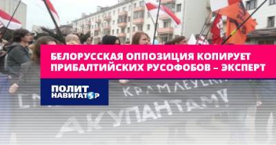 Белорусская оппозиция копирует прибалтийских русофобов – эксперт