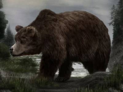 В Сибири ученые обнаружили сохранившуюся тушу древнего пещерного медведя