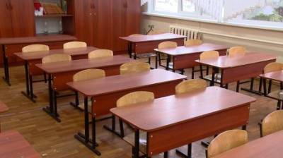 В Пензе отсутствовавших учеников не пустят в школы без справок