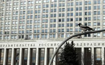 Более 42 млн рублей потратят на истребление ворон на крыше здания правительства РФ