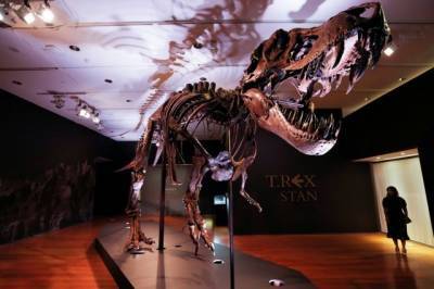 В Нью-Йорке на аукцион выставят один из самых полных скелетов тираннозавра