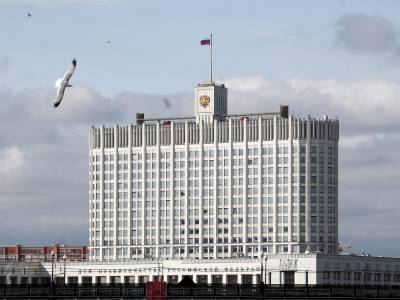 Правительство России ради крыши потратит 43 миллиона на войну с воронами