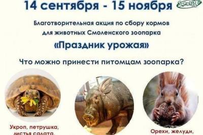Смоленскому зоопарку можно помочь с питанием для животных