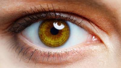 В Австралии проведут первую в мире имплантацию бионического глаза