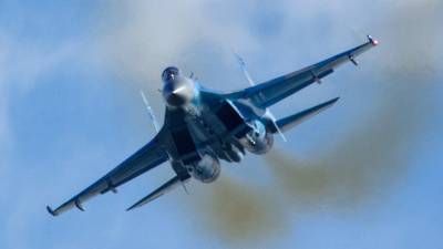 Sohu рассказало, как Су-27 унизил американцев над Балтикой