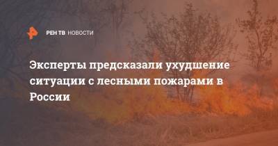 Эксперты предсказали ухудшение ситуации с лесными пожарами в России