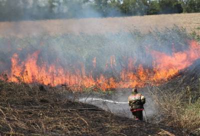 За сутки в России потушили 14 природных пожаров
