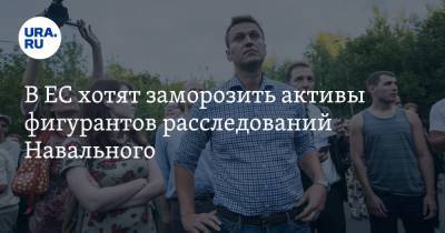 В ЕС хотят заморозить активы фигурантов расследований Навального