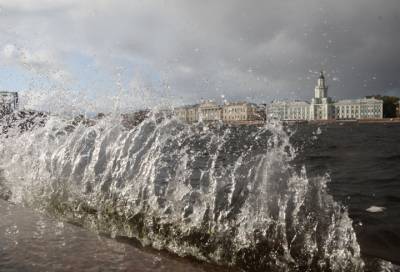 В Петербурге в четверг ожидается усиление ветра