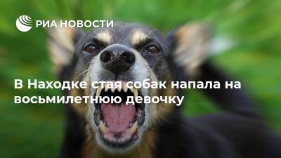 Аврора Римская - В Находке стая собак напала на восьмилетнюю девочку - ria.ru - Владивосток - Находка