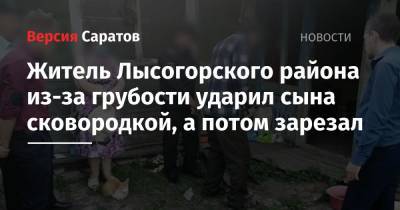 Житель Лысогорского района из-за грубости ударил сына сковородкой, а потом зарезал