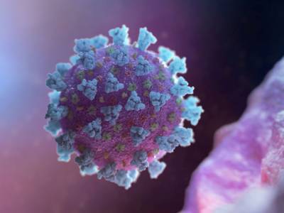 Американские ученые обнаружили белок, который нейтрализует коронавирус