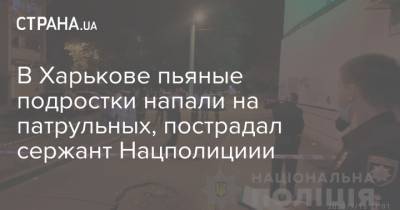 В Харькове пьяные подростки напали на патрульных, пострадал сержант Нацполициии