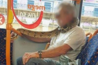 Британец использовал змею как "маску" в транспорте