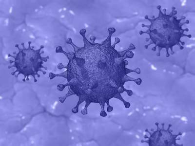 В Индии за минувшие сутки выявили рекордное число новых случаев коронавирусной инфекции