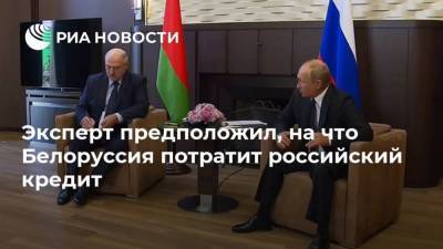 Эксперт предположил, на что Белоруссия потратит российский кредит