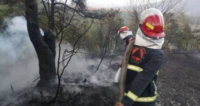 На востоке Грузии продолжается тушение лесного пожара
