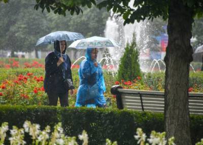 Москвичей предупредили о грозе с дождем в ближайшие часы