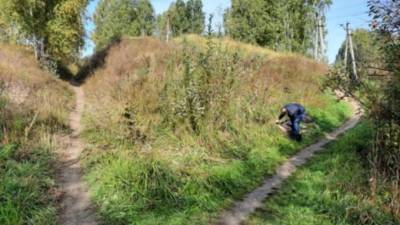 В Новосибирской области в лесу нашли тело женщины с пробитой головой