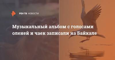 Музыкальный альбом с голосами оленей и чаек записали на Байкале