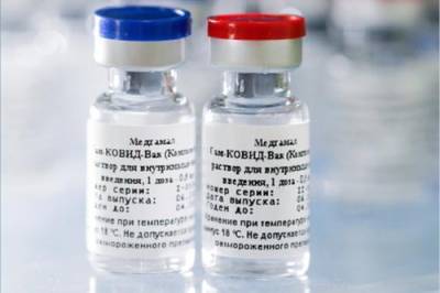 Российская вакцина заинтересовала власти Демократической Республики Конго