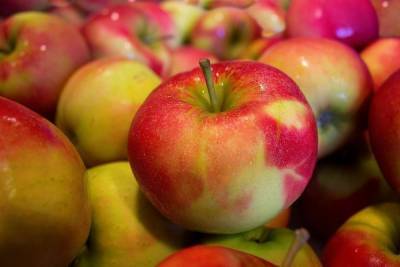 200 кг яблок не пропустили через границу в Псковской области