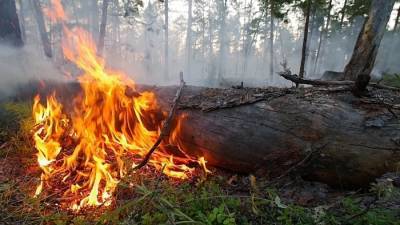 Группировку сил увеличат в КЧР для ликвидации пожара в Учкуланском лесничестве