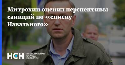 Митрохин оценил перспективы санкций по «списку Навального»