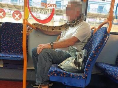 Пассажир автобуса использовал живую змею вместо маски
