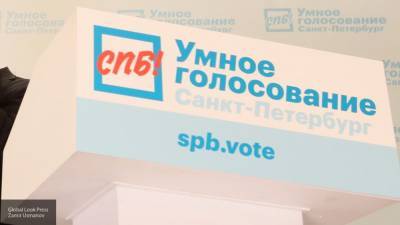 ЦИК РФ рассматривает возможность анализа законности "Умного голосования"