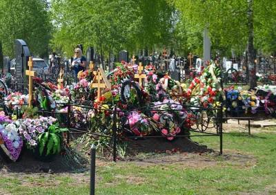 Депутаты Рязанской гордумы одобрили расширение Богородского кладбища